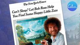 Bob Ross - Calm